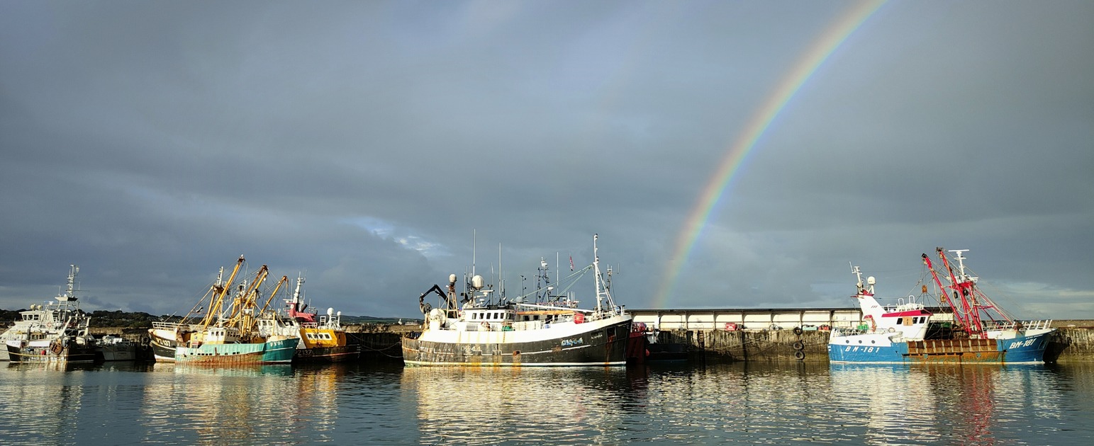 Newlyn fishing harbour